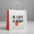 Пакет подарочный «И ладно», 22 х 22 х 11 см 