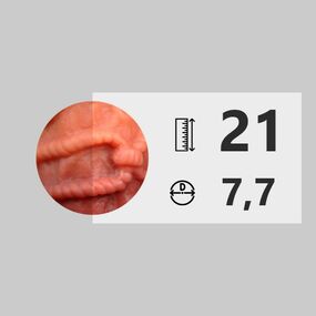 Фаллоимитатор Nature Cock 10,5" Shibari Big 