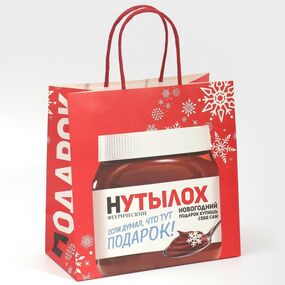 Пакет подарочный «Нутылох», 22 × 22 × 11 см 
