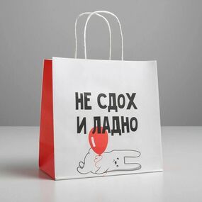 Пакет подарочный «И ладно», 22 х 22 х 11 см 
