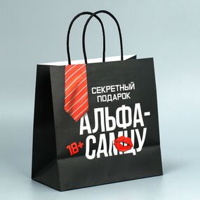 Пакет подарочный крафтовый «Альфа», 22 × 22 × 11 см 