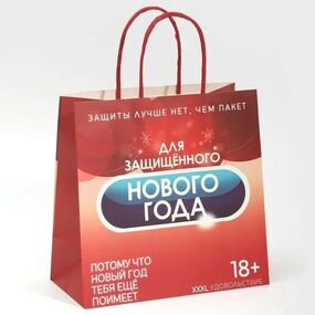 Пакет подарочный «Защищенный Новый год», 22 × 22 × 11 см 