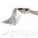 Плеть Struggle My Flogger, 45 см (2)